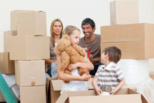 Modern storage solutions in Tooting